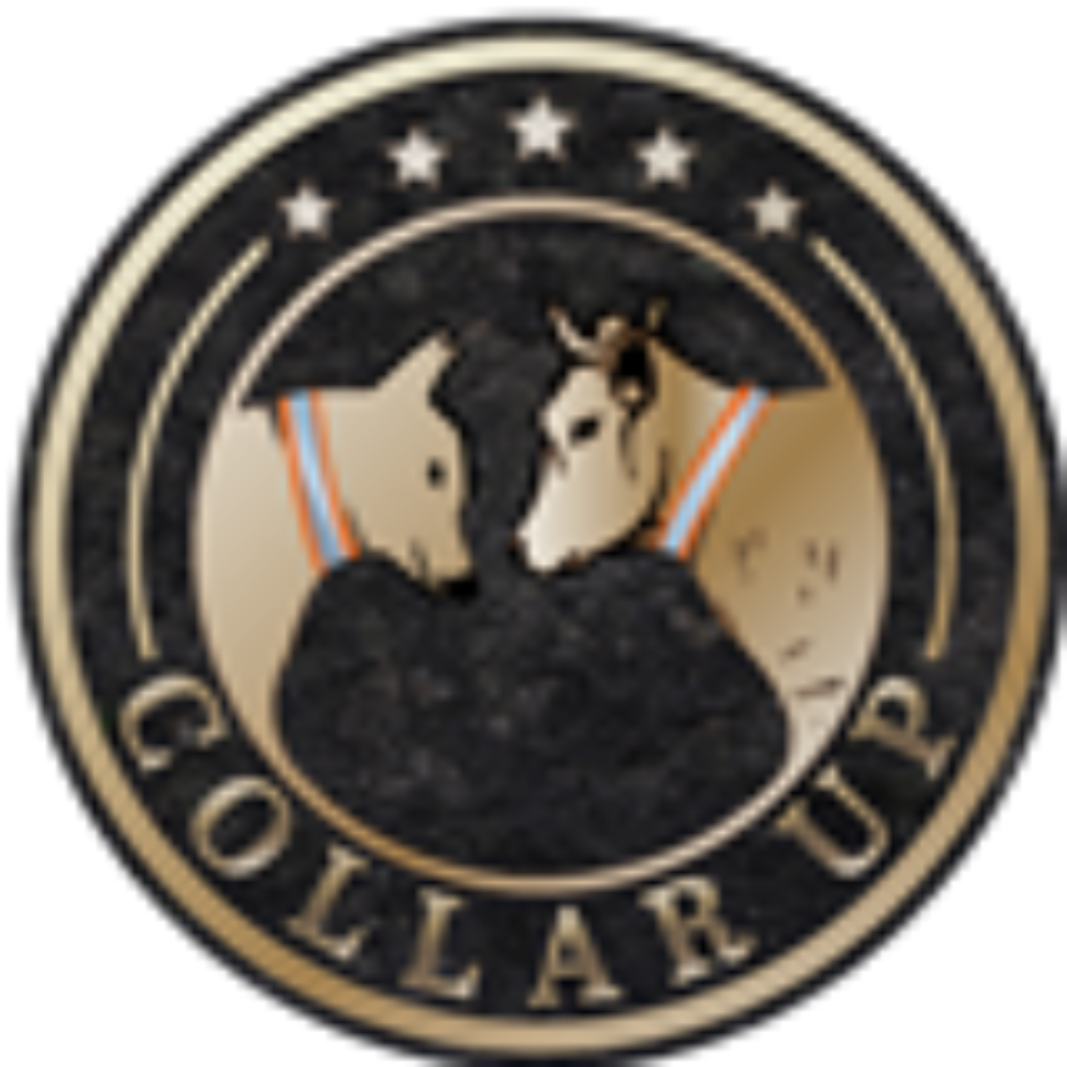 our-collar