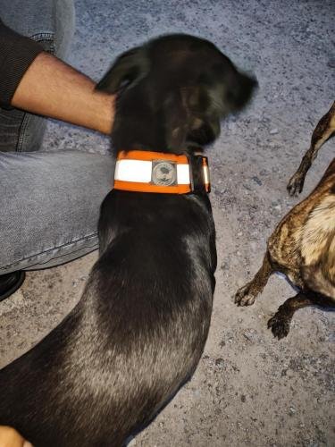 WhatsApp-Image-2025-06-05-at-20.36.08 5578c3a9