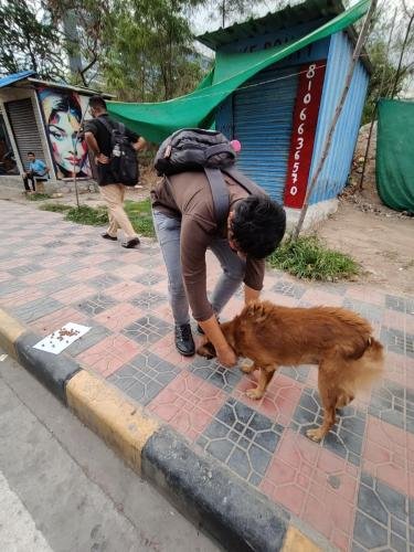 WhatsApp-Image-2025-06-05-at-20.36.44 cf63972a