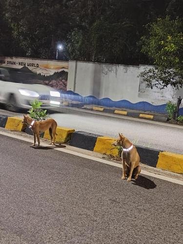 WhatsApp-Image-2025-08-04-at-10.29.57 06350a5f