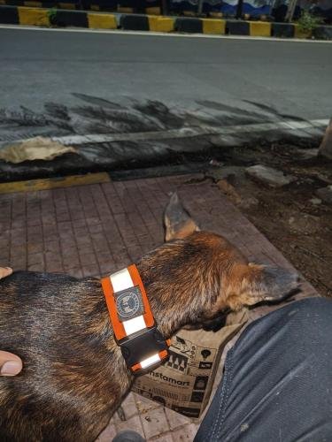 WhatsApp-Image-2025-08-04-at-10.30.00 4192e09f