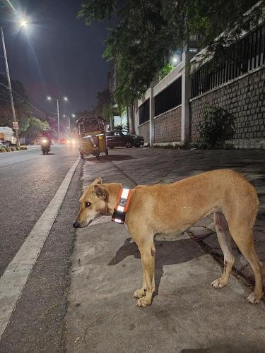 WhatsApp-Image-2025-08-04-at-10.31.45 c58f7acf