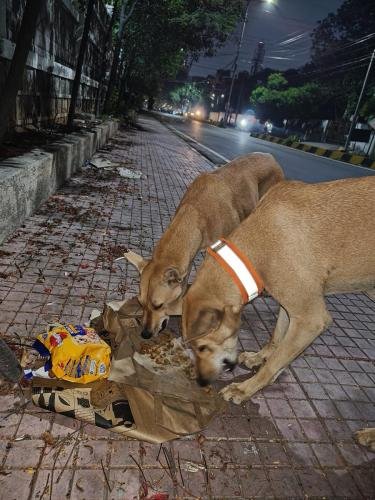 WhatsApp-Image-2025-08-04-at-10.31.49 847cc6ca