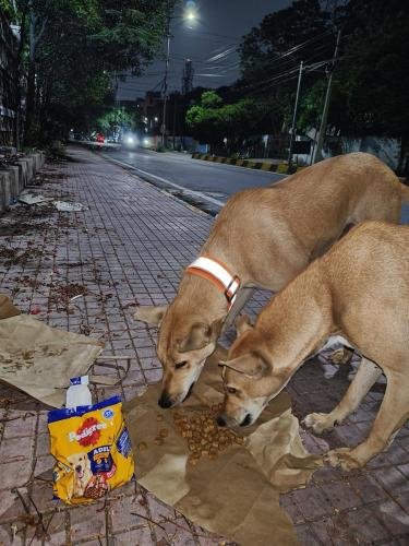 Hyderabad - Kondapur